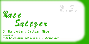 mate saltzer business card