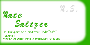 mate saltzer business card